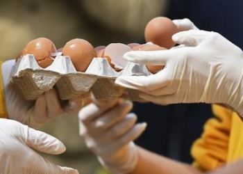 Uova sequestrate per tracce d’insetticida. Barberini: “Situazione sotto controllo”