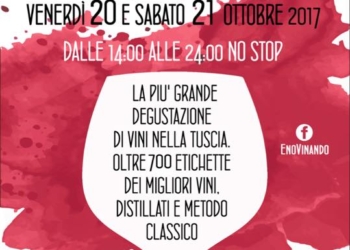 Settecento vini in degustazioni ed oltre 4200 bottiglie con la due giorni di Vinando