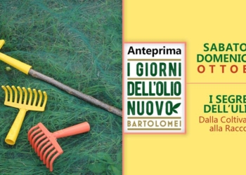 I Giorni dell’Olio nuovo al Vecchio Frantoio Bartolomei di Montecchio, anteprima 28 e 29 ottobre