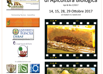 Api e biodiversità, all’ecomuseo di Porano ecco il corso di Apicultura
