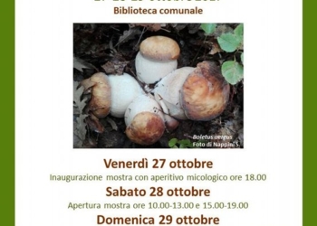 Al via la 27esima Mostra micologica alla Riserva Naturale Monte Rufeno