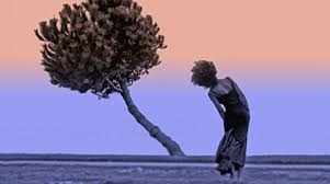 OPINIONI INCROCIATE DEL LUNEDI  23 Ottobre 2017 [419]