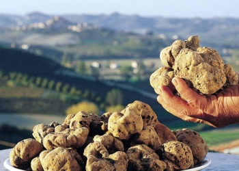Fabro si prepara alla 30esima edizione della Mostra Mercato Nazionale del Tartufo