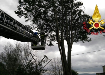 Maltempo, il vento flagella la Provincia. Decine gli interventi anche nella notte dei Vvff