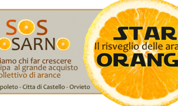 S.O.S. Rosarno ripartiamo dalle arance il 16 dicembre a Orvieto, Foligno, Spoleto e Città di Castello