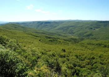 Riqualificazione paesaggi rurali ad Allerona e Castel Viscardo, dalla Regione contributo di 776mila euro