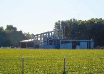 Centrale a biomasse a Città della Pieve, le ragioni del ricorso al Tar del Gruppo Ecologista il Riccio