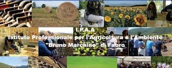Porte aperte all’Istituto professionale per l’agricoltura e l’ambiente di Fabro