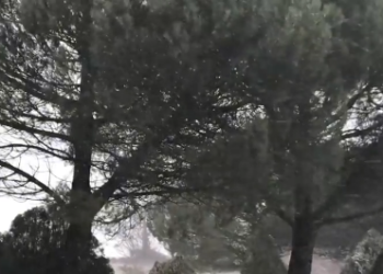 Reportage video TeleOrvietoWeb Network: tutto l’Orvietano imbiancato