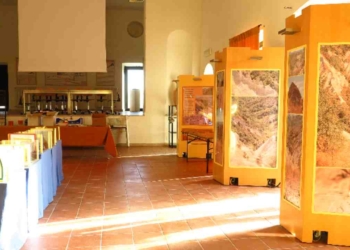 Museo dei Cicli Geologici di Allerona, lo gestirà un privato. Prorogato il termine per le domande