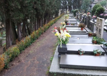 Manutenzione straordinaria del verde, interventi di potatura e messa a dimora nuove specie nel territorio