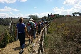I grandi maestri in cammino lungo la via del pellegrino: è Francigena in Musica