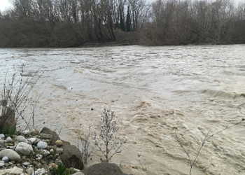 Fiume Paglia, Comitato 12 Novembre: “Nulla è stato fatto nei letti dei corsi d’acqua per mitigare il rischio esondazione/erosione”
