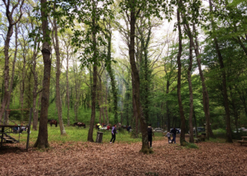 A Bolsena la Pasquetta di festeggia il martedì con le “Merenne Borsenese”