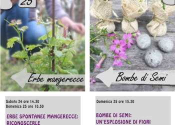 Appuntamenti di Primavera al Museo del Fiore con L’Insalata della nonna e Bombe di Semi