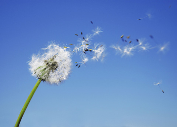 Occ: “Un anno di sperimentazione del progetto sulle Cure Palliative”. Manca raccordo con Istituzioni del territorio