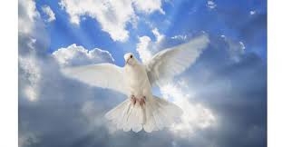 Settimana Santa e Feste Pasquali 2018: l’elenco delle Celebrazioni liturgiche al Duomo di Orvieto