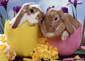 Annunciata resurrezione del turismo umbro: Orvieto vestita a festa tra liturgia, arte e buona cucina