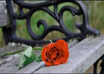 “Quadri di Orvieto”, quattro panchine per altrettante donne che hanno contribuito alla crescita culturale della città