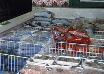 Fermano camion di surgelati ma carne e pesce sono mal conservati: 5mila euro di multa e merce in discarica