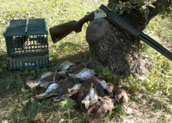 Caccia, sospeso rilascio nuove autorizzazioni appostamenti fissi senza richiami vivi