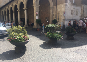 Il Comitato Cittadino dei Quartieri adotta le fioriere del centro storico di Orvieto