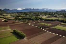 Pagamenti in agricoltura, aziende agricole Cia: “Basta promesse, ora vogliamo i fatti”