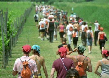 Cantine Aperte 2018, elenco partecipanti e programma degli eventi