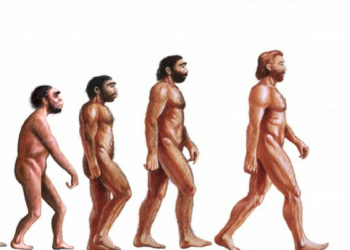 OPINIONI INCROCIATE DEL LUNEDI  21 Maggio 2018 [449]