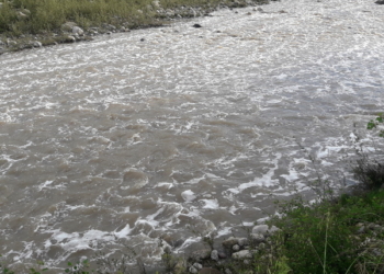 Liquami di origine animale nel fiume Paglia, la denuncia dell’Associazione Il Ginepro