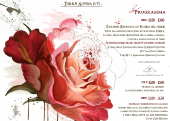 Le rose antiche al Museo del Fiore, un viaggio nelle fragranze botaniche alla riserva Monte Rufeno