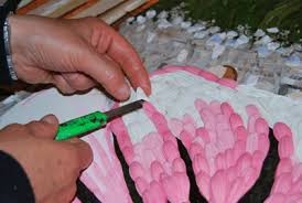 Aspettando i Pugnaloni, ricco programma di appuntamenti in vista della sfilata del 13 maggio