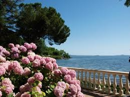 Festa delle Ortensie, tutto pronto sulle rive del lago di Bolsena
