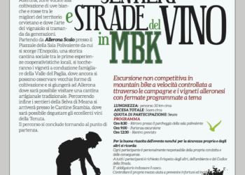 Allerona Petit Tour tra i sentieri e le strade del vino in Mountain Bike