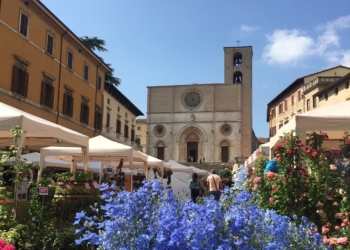Archiviata Todi Fiorita 2018. Il format funziona, soddisfatti gli operatori e i visitatori