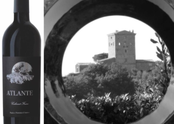 Ad Atlante della Cantina Paolo e Noemia d’Amico la medaglia d’oro da “Decanter World Wine Awards”