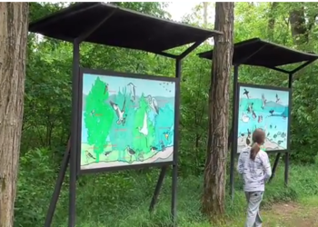 Nuovo video per Francesco Barberini in Lombardia per il WWF