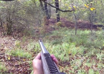 Rinnovo Ambito Territoriale di Caccia, proposte e osservazioni della Federcaccia