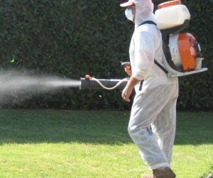 Disinfestazione parchi e piazze del centro storico e frazioni, al via il programma