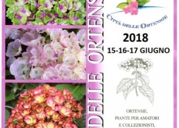 Non c’è estate a Bolsena senza Festa delle Ortensie. Tutto è pronto per l’edizione 2018