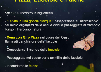 Pizza, lucciole e falene, una serata incantata all’Oasi di Alviano