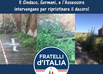 Passeggiata intorno alla Rupe inghiottita dall’erba, Fdi chiede al Comune di intervenire subito