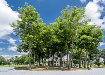 Sull’Alfina apre lo scrigno delle meraviglie, ecco Il Borgo La Chiaracia Resort & Spa