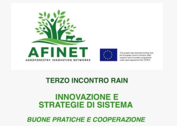 “Innovazione e strategie di sistema. Buone pratiche di cooperazione”, terzo incontro Rain alla Villa Paolina