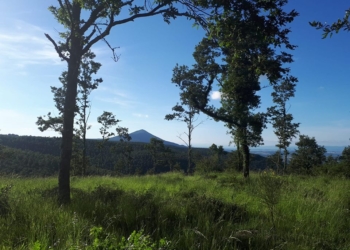 “Allerona Petit Tour”, escursione sul crinale”umbro e tosco”: da Villalba a Poggio Spino