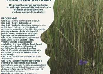 Biodiversità in campo e sviluppo sostenibile con “Montegabbione Bio”