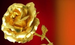 “IncontrArti: la Rosa D’Oro”, ecco gli eventi collaterali all’ottava edizione del concorso
