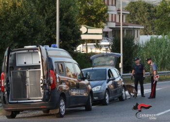 Repressione reati, controllati dai carabinieri più di 100 veicoli ed identificate oltre 250 persone