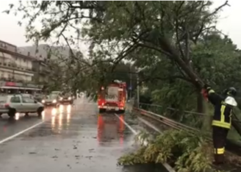 VIDEO NEWS – Nuova violenta tromba d’aria nell’Orvietano. 21 gli nterventi dei Vvff