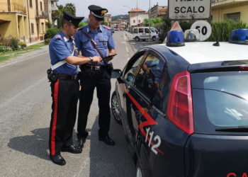 Ladri di maiali, sorpresi a rubare in un’azienda agricola. Arrestato un rumeno 33enne. Il complice è uccel di bosco